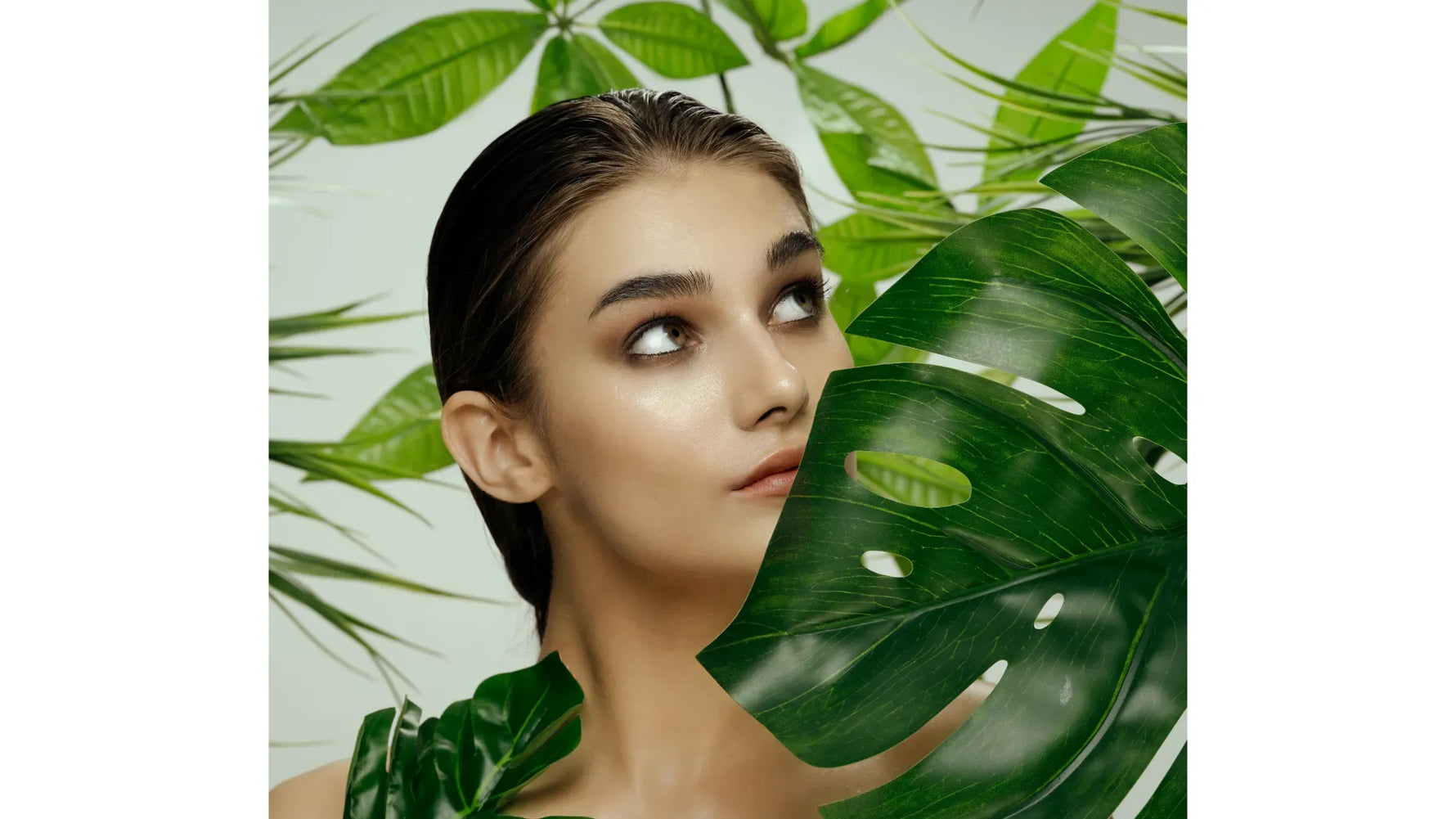 Illustration of skin barrier repair with key ingredients